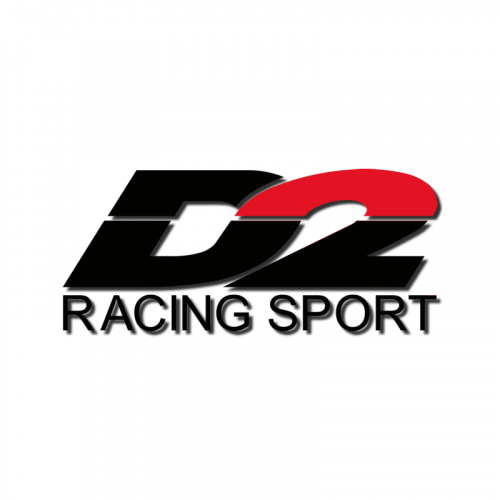 Logo D2 RACING