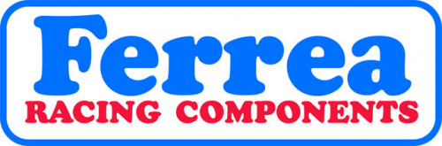 Logo FERREA