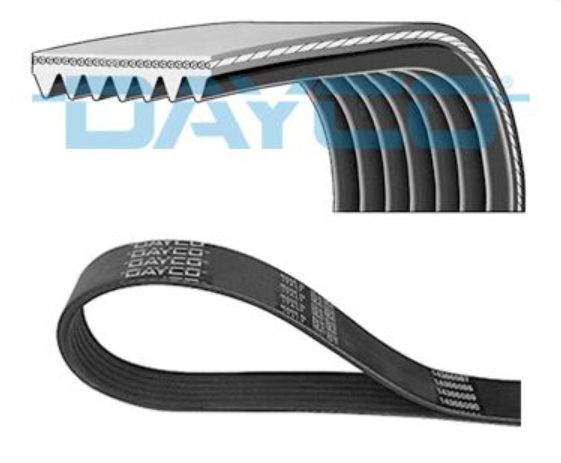 DAYCO Courroie Accessoires Impreza Legacy Forester Outback XV 2.0 Turbo Diesel EE20